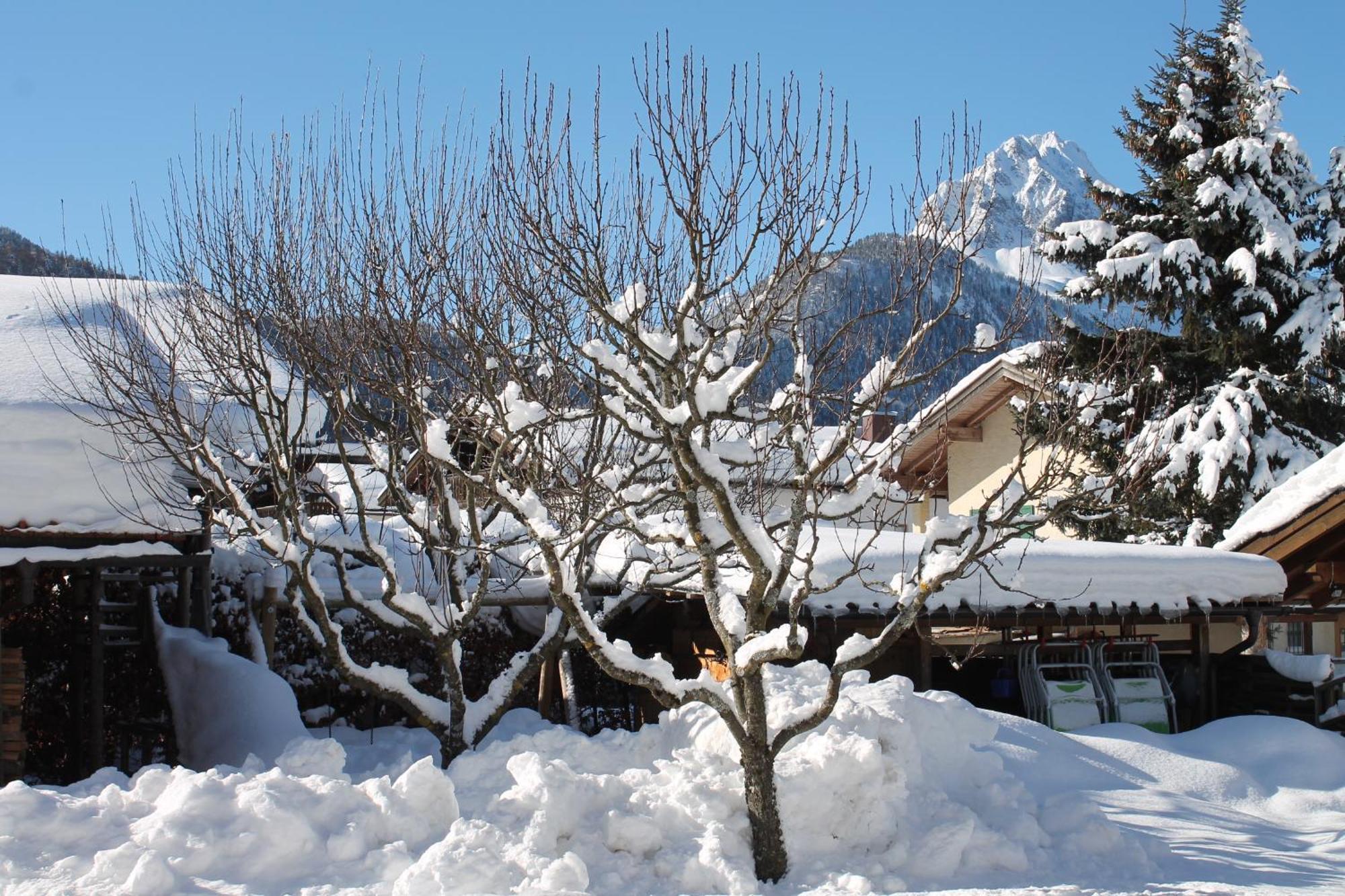 Ferienapartmenthaus Hubertushof Mittenwald Exterior foto